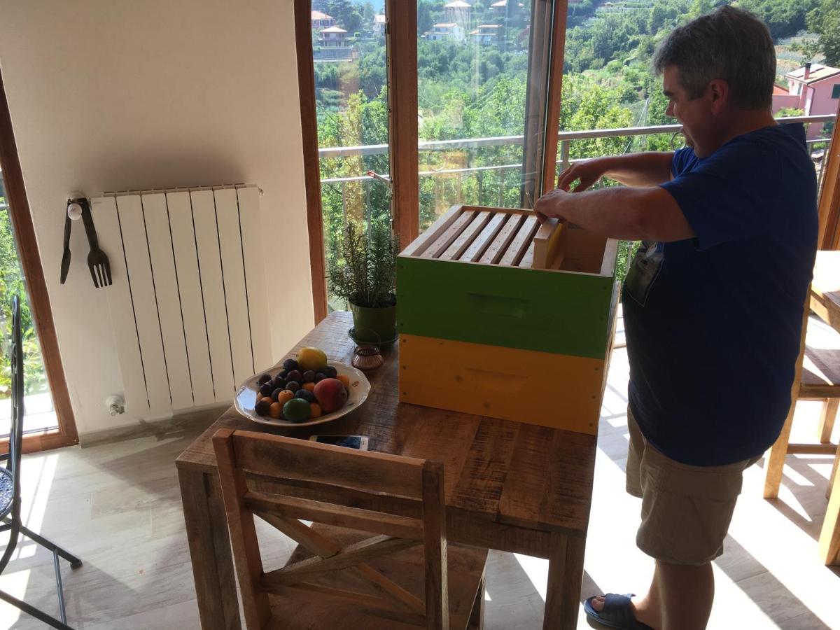 Vakantieboerderij Lavalleggia Tovo San Giacomo