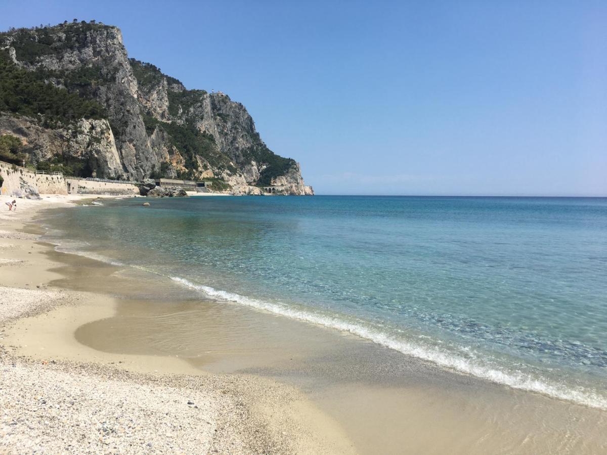 Lavalleggia