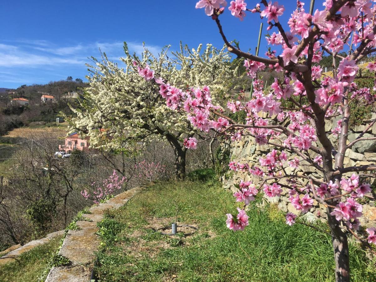 Lavalleggia Tovo San Giacomo