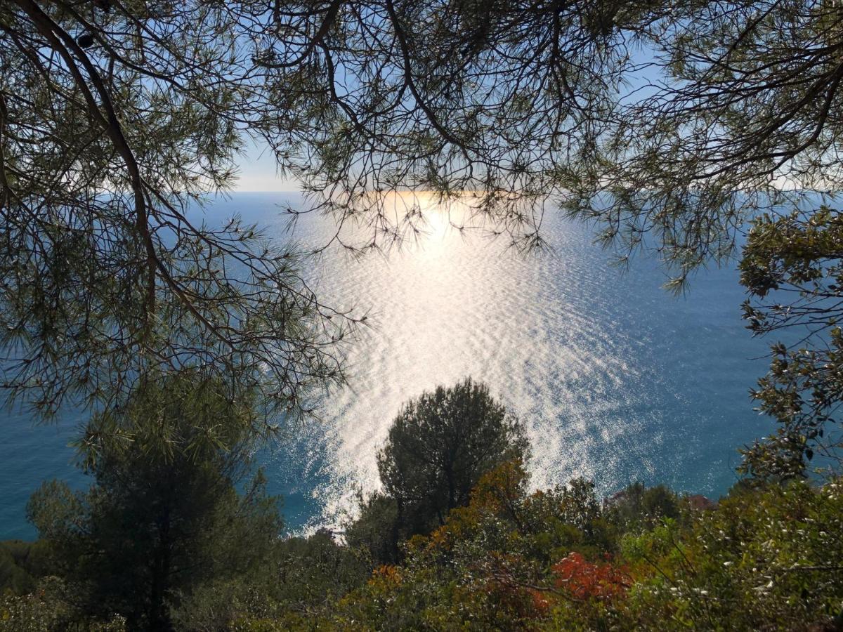 Lavalleggia *