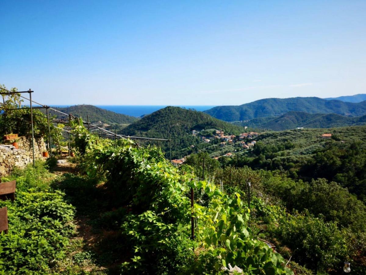 Lavalleggia Vakantieboerderij