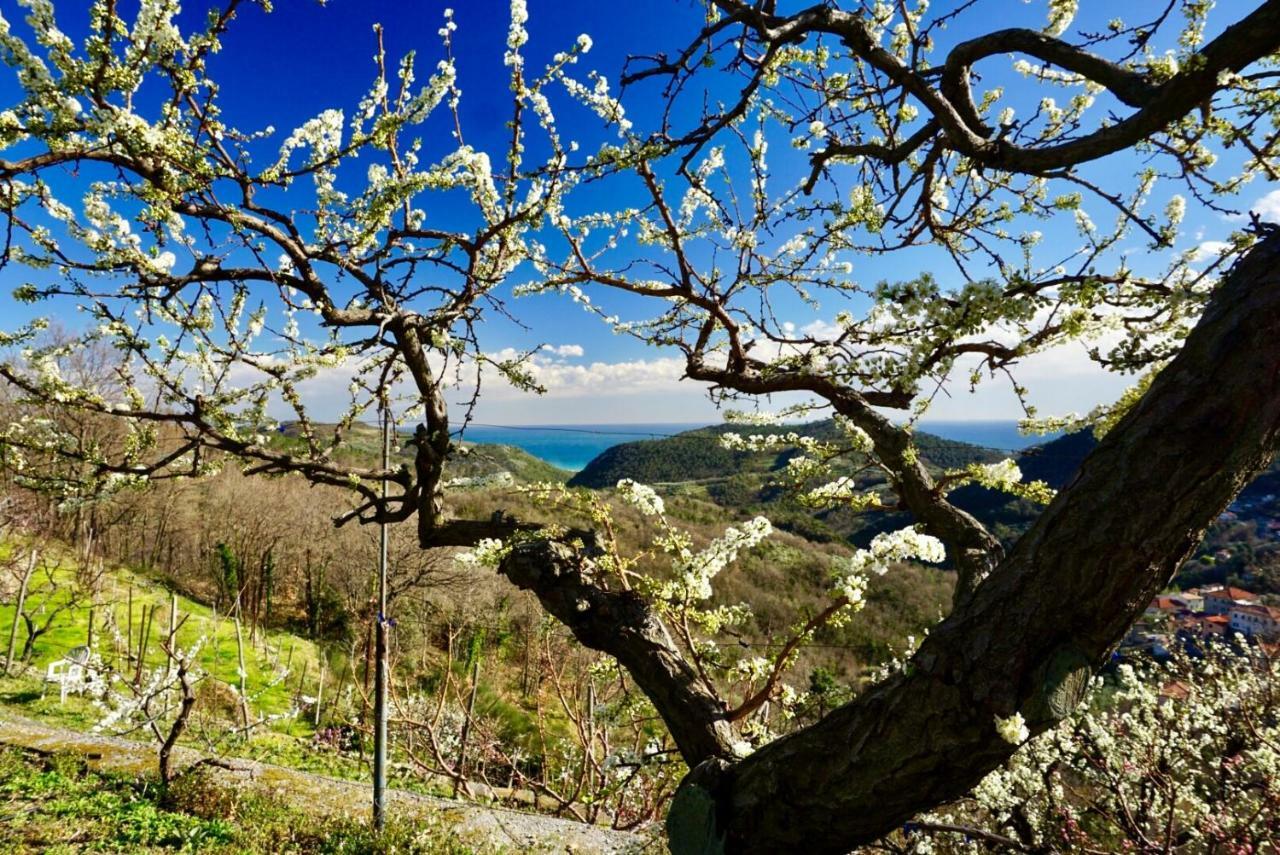Lavalleggia Vakantieboerderij